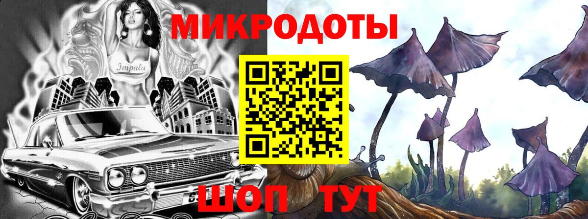 Галлюциногенные грибы Psilocybe Лабытнанги